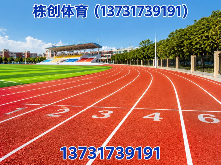 新华区体育设施工程展示图